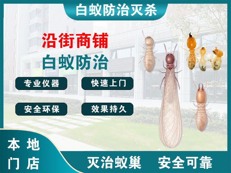 吴江沿街商铺白蚁防治