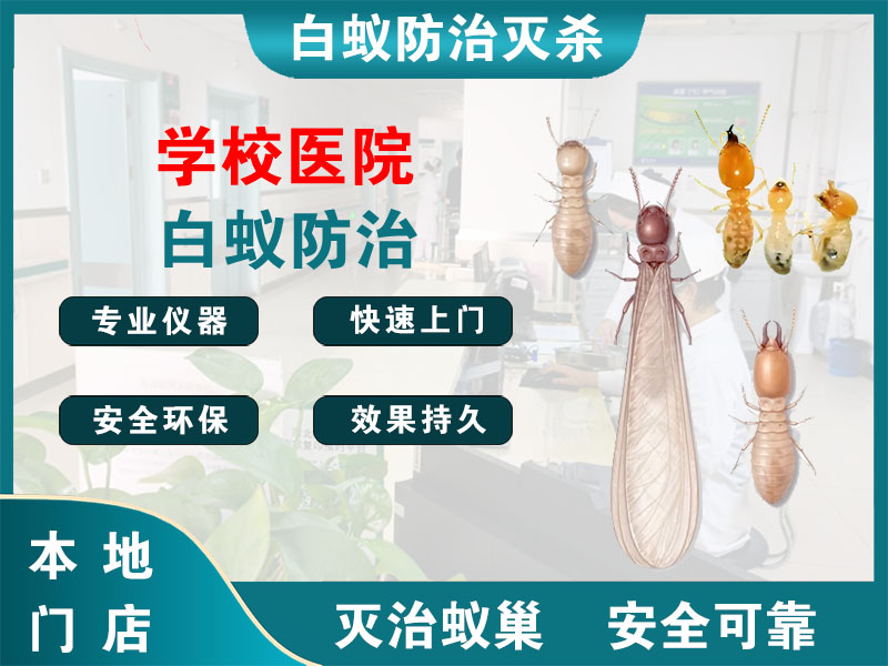 吴江学校医院白蚁防治