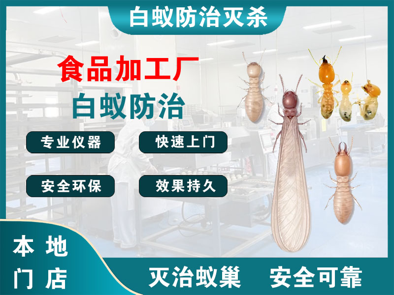吴江食品加工厂白蚁防治