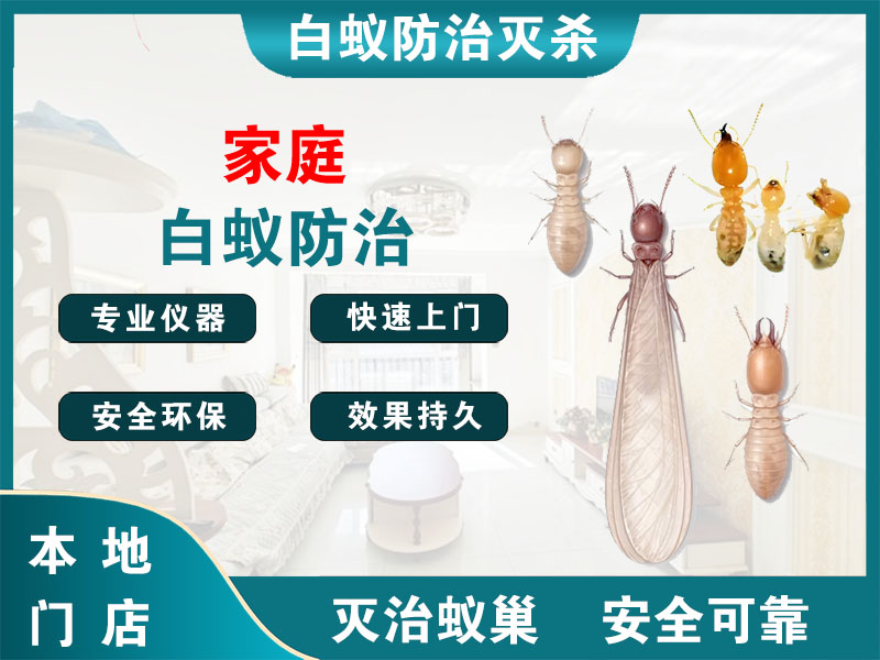 吴江家庭白蚁防治