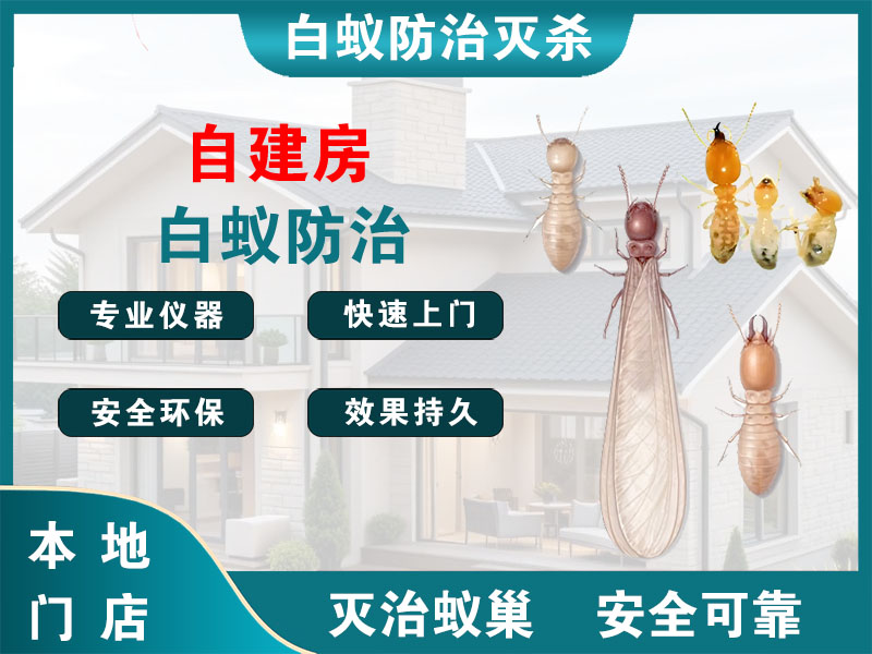 吴江自建房白蚁防治