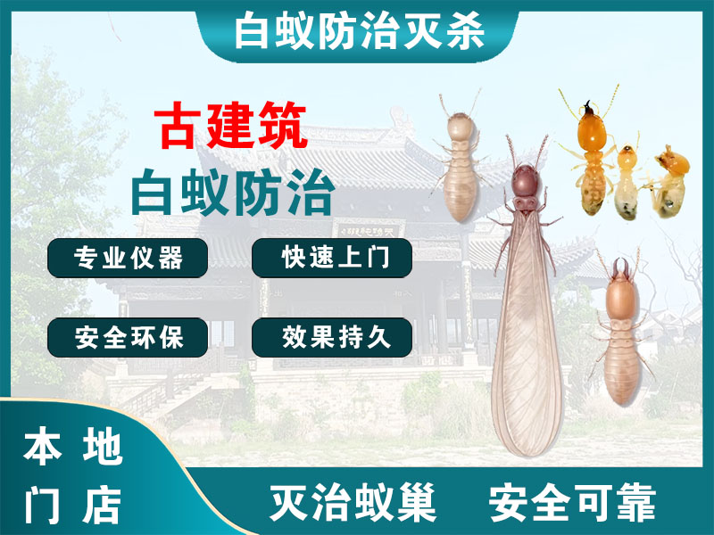 吴江古建筑白蚁防治