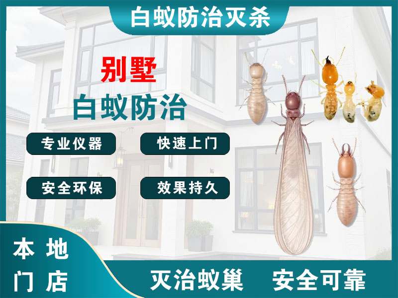 吴江别墅白蚁防治