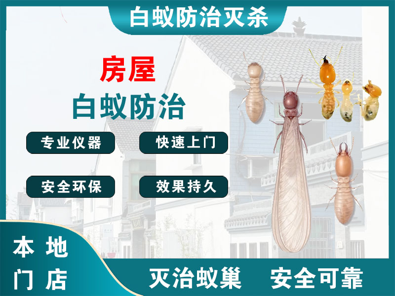 吴江房屋白蚁防治